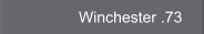 Winchester .73